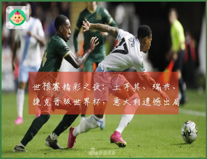 世预赛精彩之夜：土耳其、瑞典、捷克晋级世界杯，意大利遗憾出局