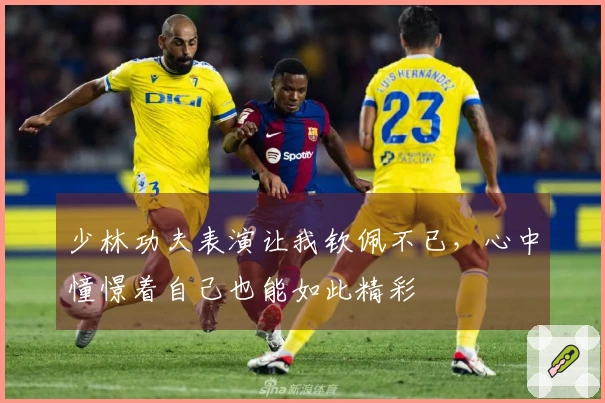 少林功夫表演让我钦佩不已，心中憧憬着自己也能如此精彩